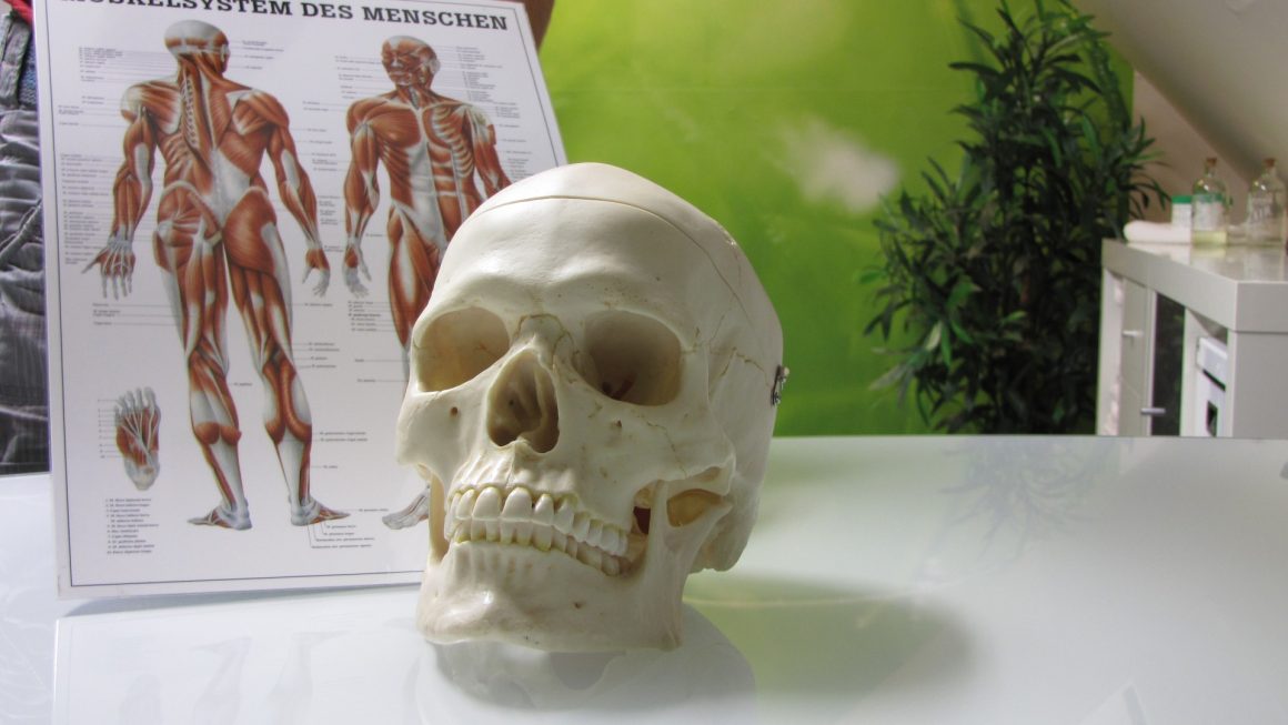 Reset Kieferbalance Reset Kieferbalance